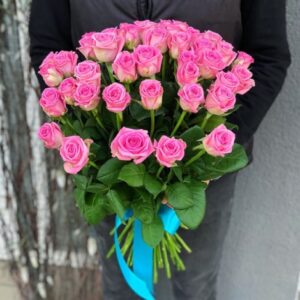 Саджанці рози Аква