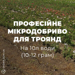 Професійне мікродобриво для троянд