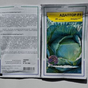 Капуста Адаптор насіння Голандія