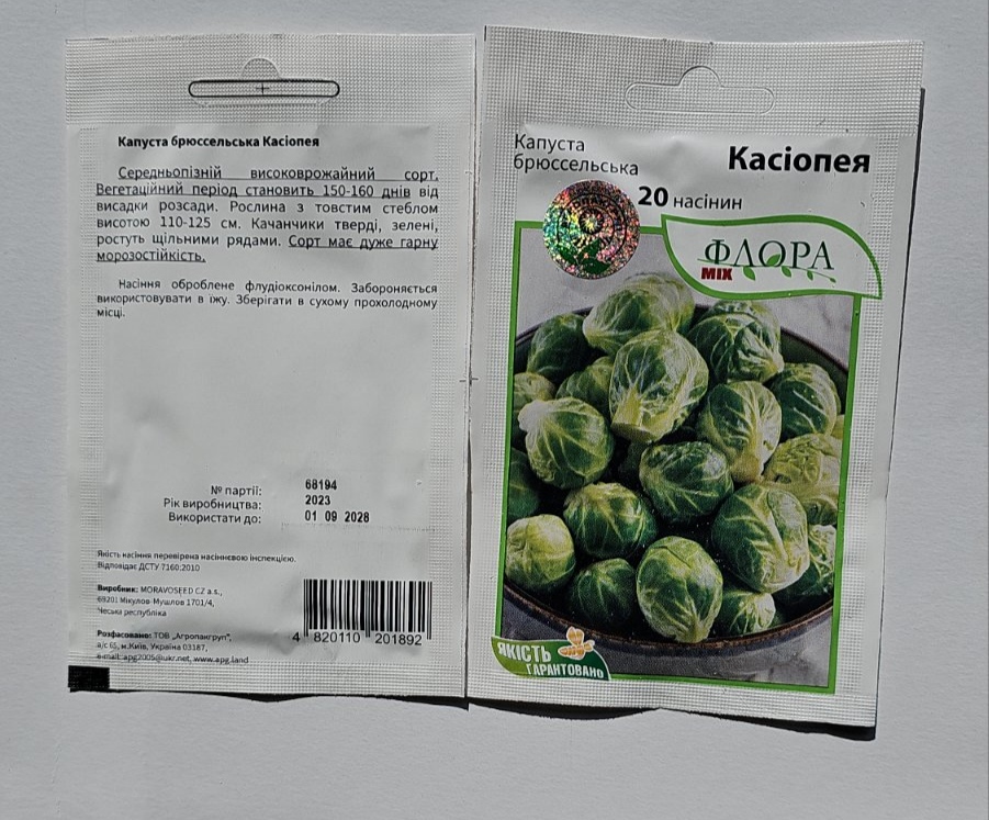 Капуста брюссельська Касіопея насіння Голандія - Зображення 2
