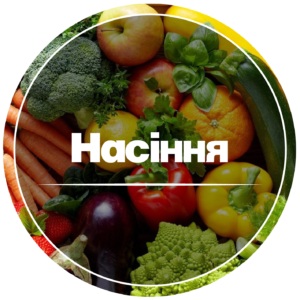 Насіння