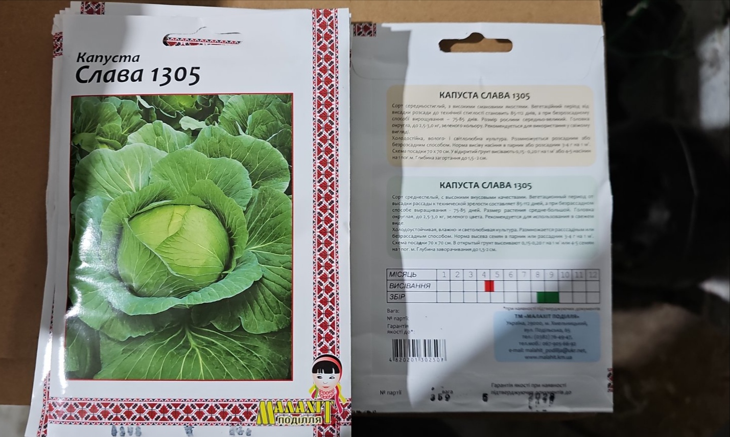 Капуста Слава 1305 насіння - Зображення 2