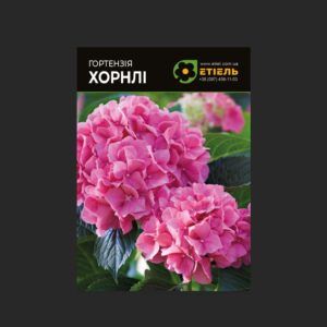 Гортензія Hornli