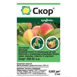 Скор