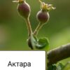Актара