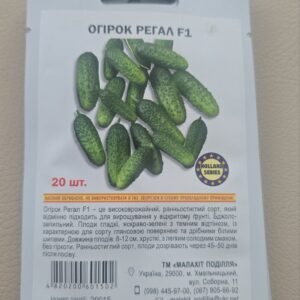 Огірок регал F1