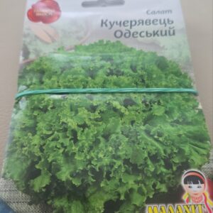 Салат кучерявець одеський 5гр